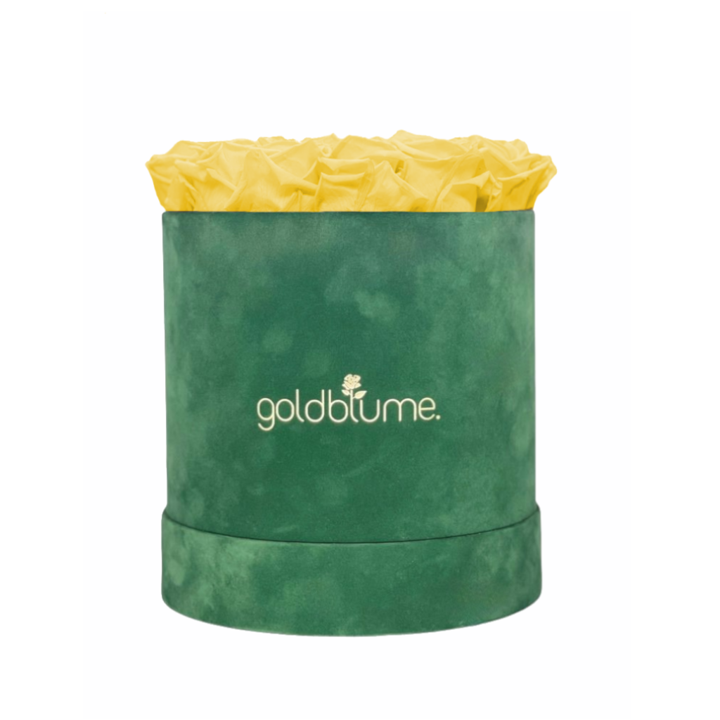 Velvet Green Collection