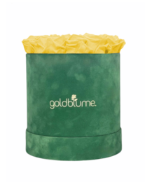 Velvet Green Collection