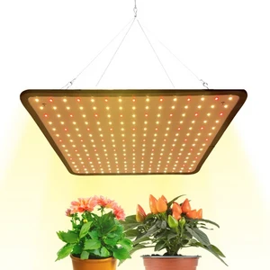 Grow lamp LED - before flowering - 30 x 30 cm