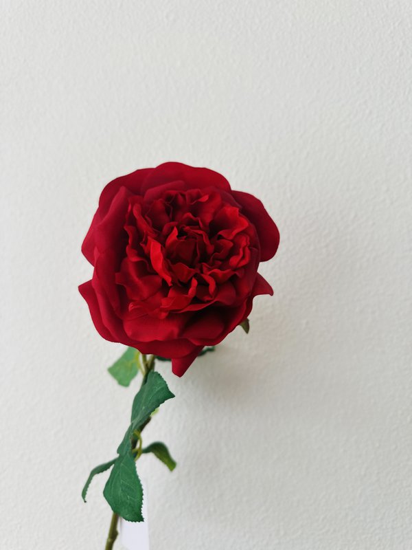 QMF Hand Touch Rose 65 cm 1 STK rød
