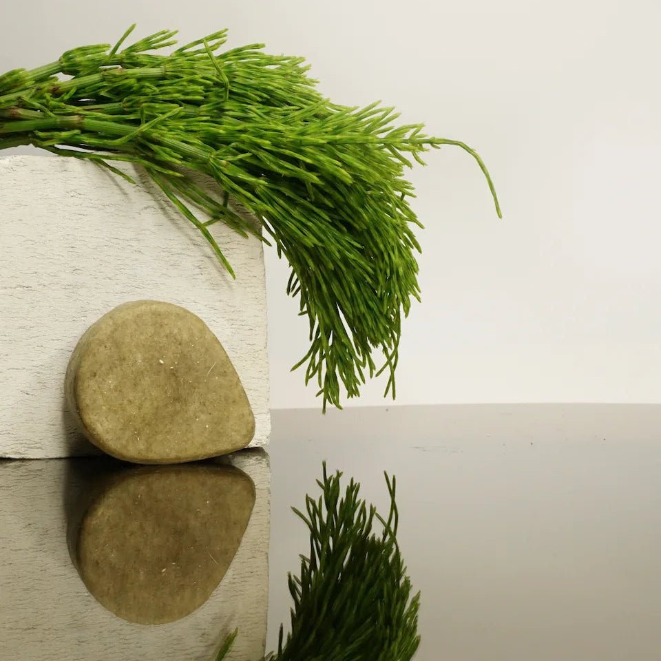 Shampoo Bar Balans & Diepe Reiniging voor Normaal tot Vet Haar