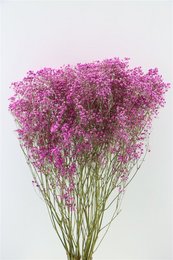 Natuurlijk Bloemen
