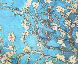 Mandelblüte van Gogh Schal modal