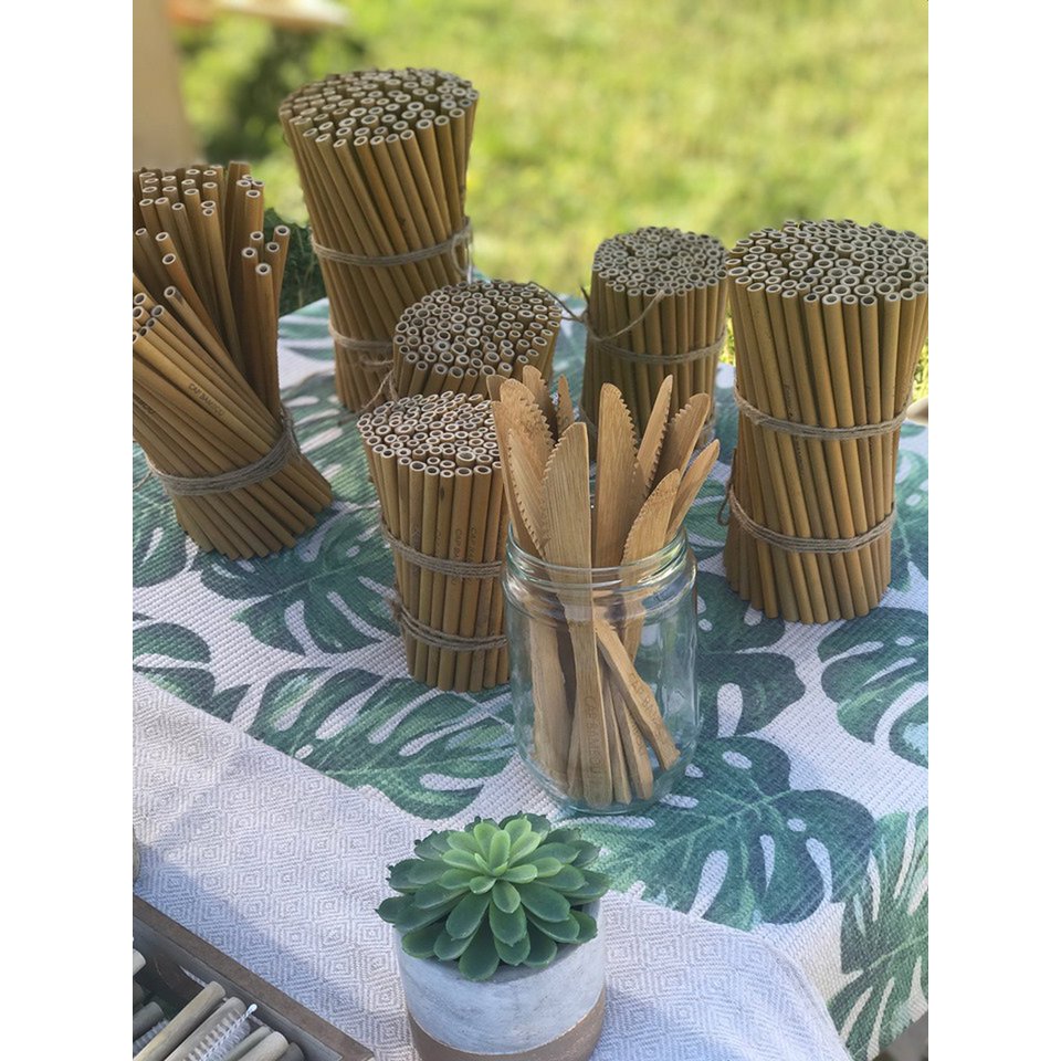 Set of 50 reusable long straws