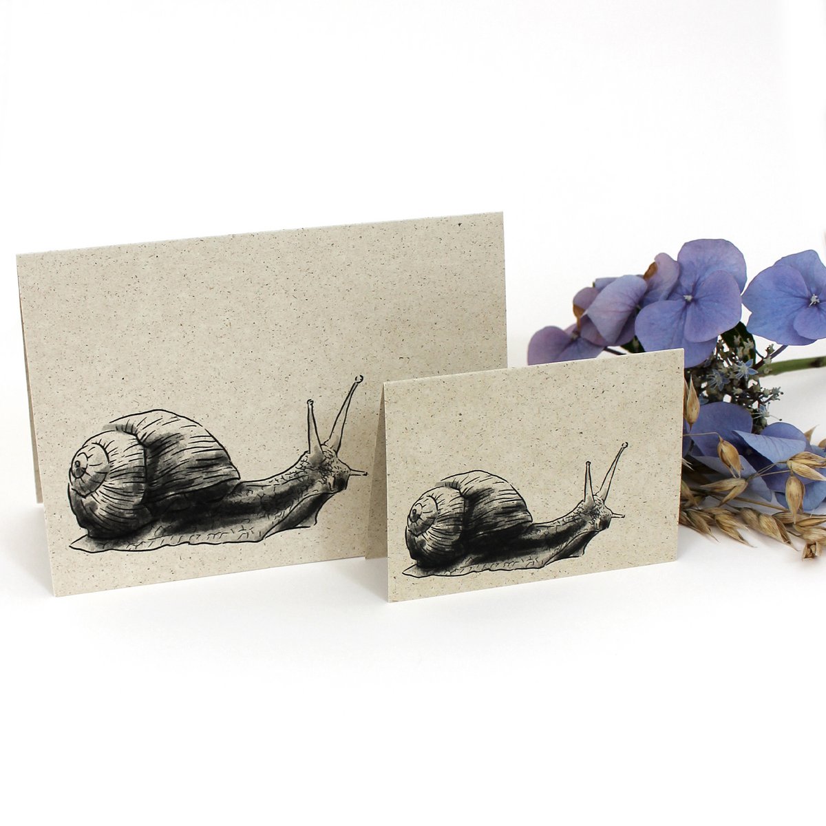 Klappkarte aus Graspapier, Weinbergschnecke