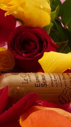ESPRESSO SERUM - antirimpelserum - 30 ml