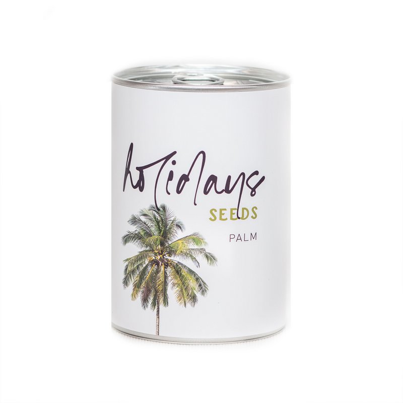 Graines de Vacances - WHITE Model