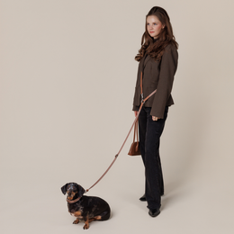 Mocha brown multifunction dog leash, adjustable collar and leash, durable pet accessory for small to medium dogs.