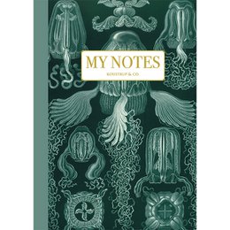 Note Booklet - Haeckel 3