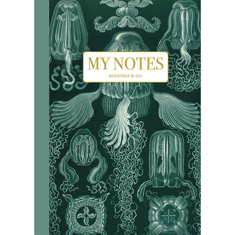 Note Booklet - Haeckel 3