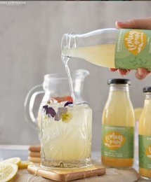 Handgemachte zuckerfreie Limonade mit Ingwer und Agave – myGreekTaste – 250 ml