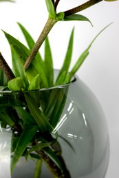 Vase glas rund grå glasvase håndlavet kuglevase lav