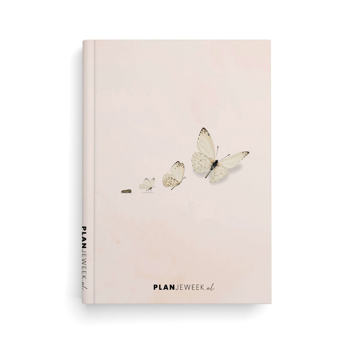 Prikkelarme planner Vlinder - Medium / A5+ ongedateerd