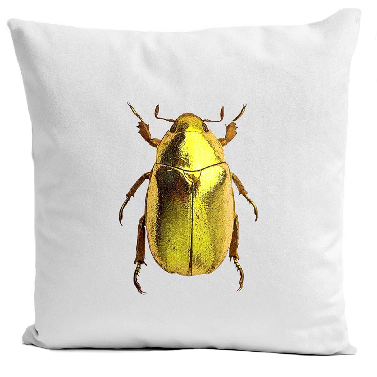 Insect cushion, Insect II