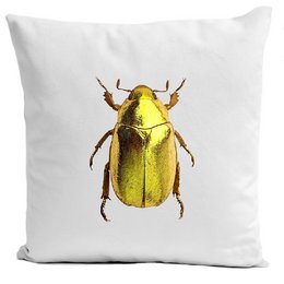Insect cushion, Insect II