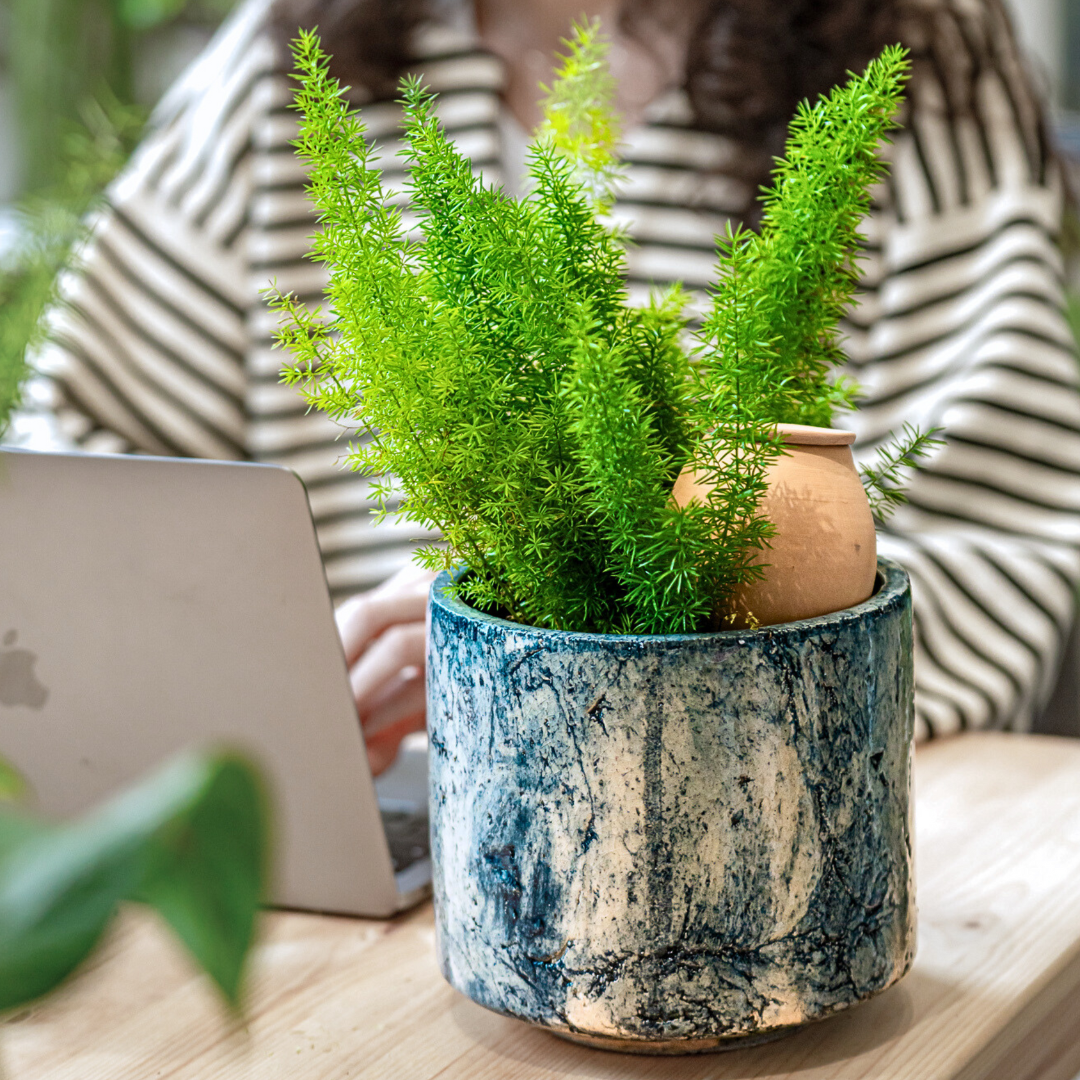 Olla self watering pot - Lutoya Small Original - 20 cl