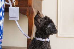 Pooch leather | Stylish Reward Bag for Dog Biscuits and Poo Bags - Lilac Purple