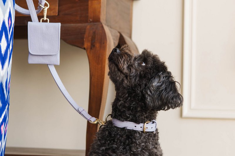 Pooch leather | Stylish Reward Bag for Dog Biscuits and Poo Bags - Lilac Purple