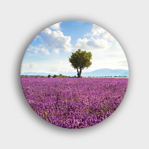 Muurcirkel "Franse Provence Landschap Met Lavendel En Een Boom" | Wandcirkel