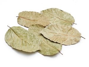 Leaves "Sal," 50 pieces, 15cm, natural green