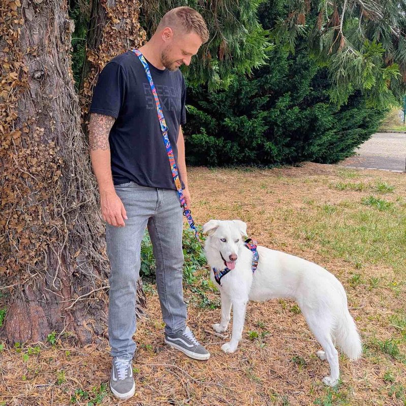 Multi-position Lagoon leash