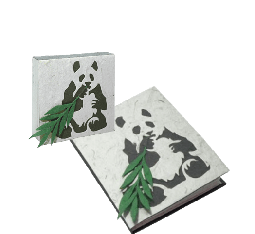 Set di quaderni e quaderni con sterco di elefante Panda