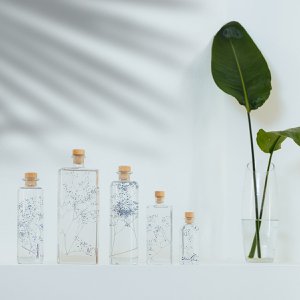 Das Herbarium – Unterwasserpflanze Blaues Schleierkraut