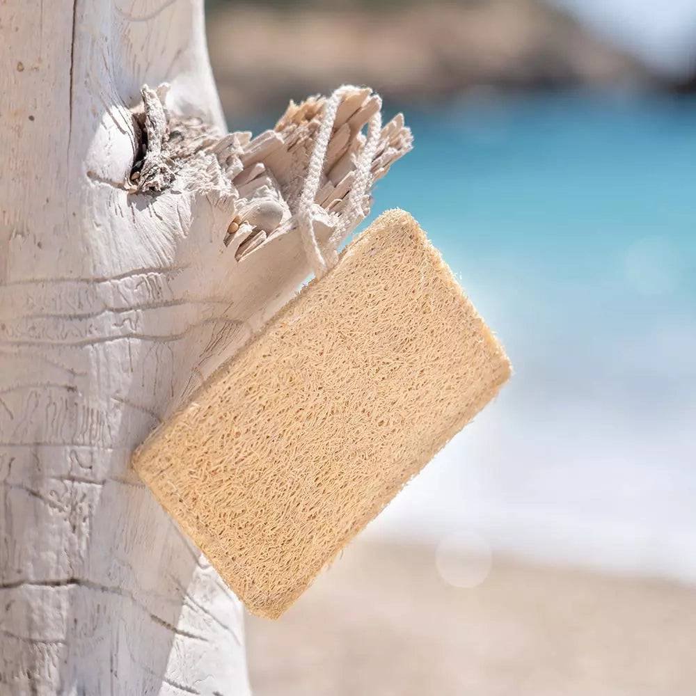 Spugna di luffa naturale e biodegradabile