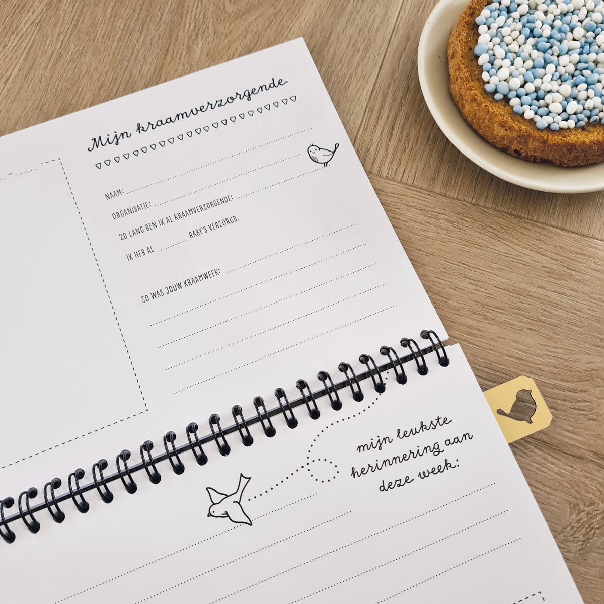 Maternity visit fill-in book A5 | pink