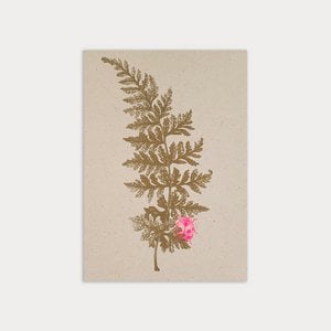 Ansichtkaart/varen met lieveheersbeestjes/ecopapier