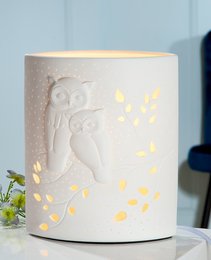 Porcelain lamp ellipse pair of owls
