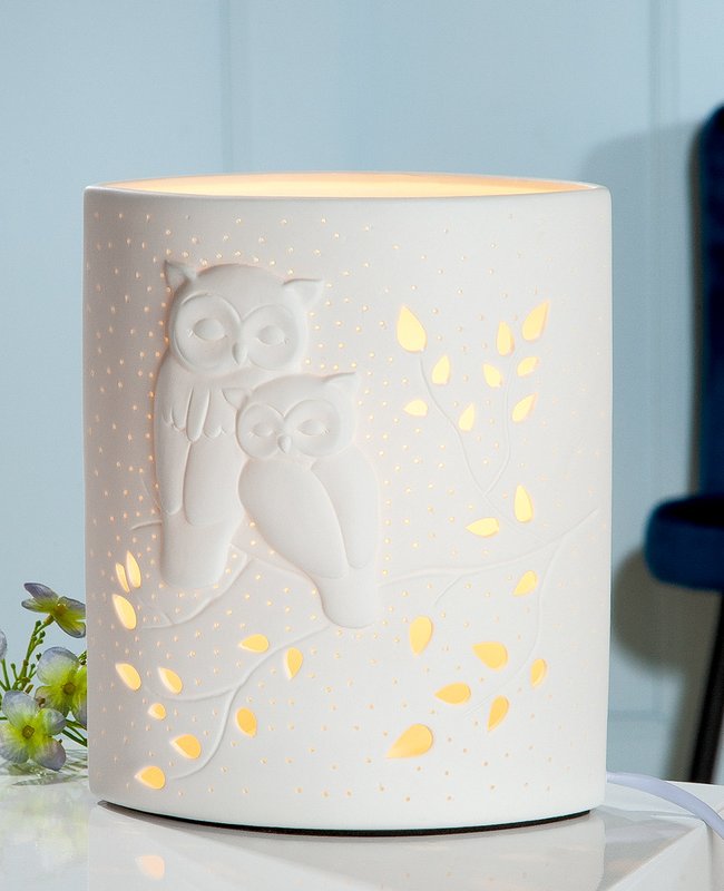 Porcelain lamp ellipse pair of owls