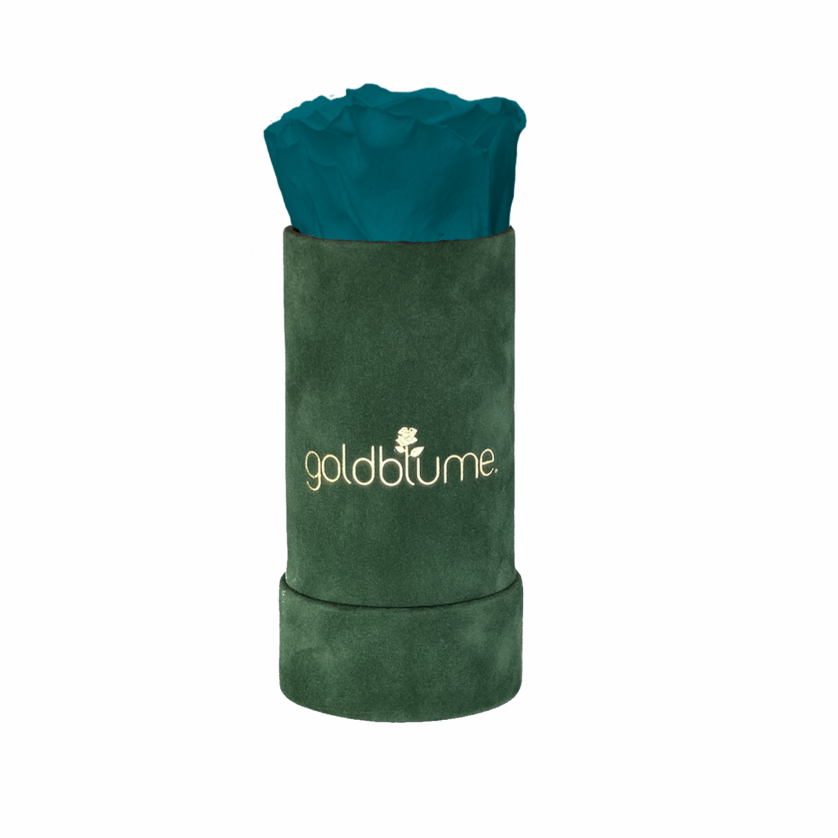 Velvet Green Collection
