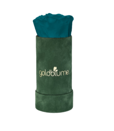 Velvet Green Collection