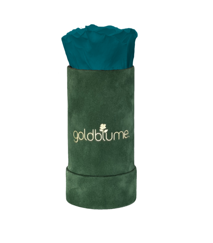 Colección Terciopelo Verde