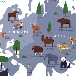 Die Weltkarte der Tierwelt
