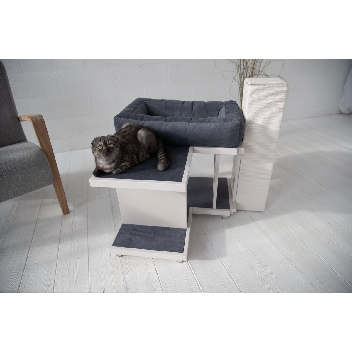 LIEPA – one level extended Cat house