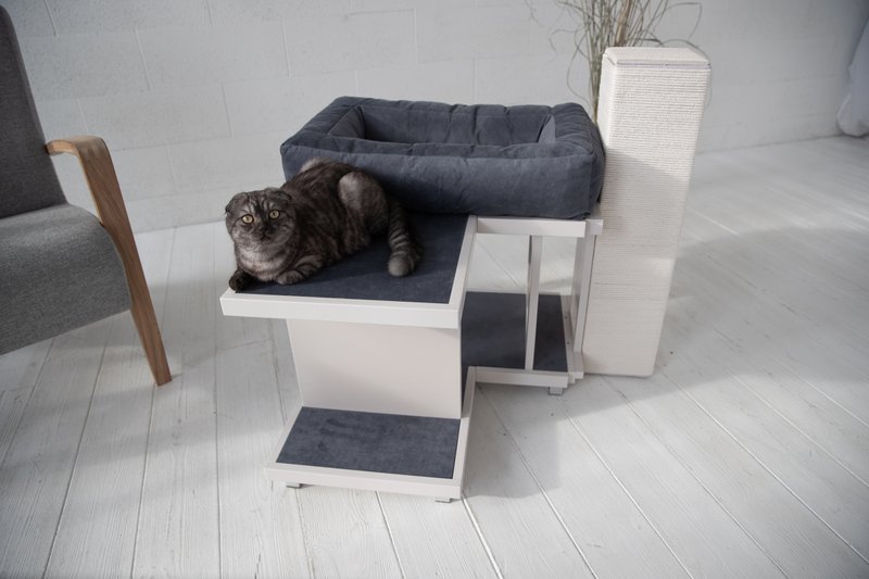 LIEPA – one level extended Cat house