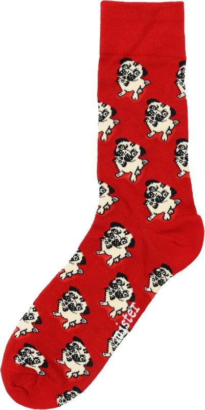 Calcetines Bulldog Francés