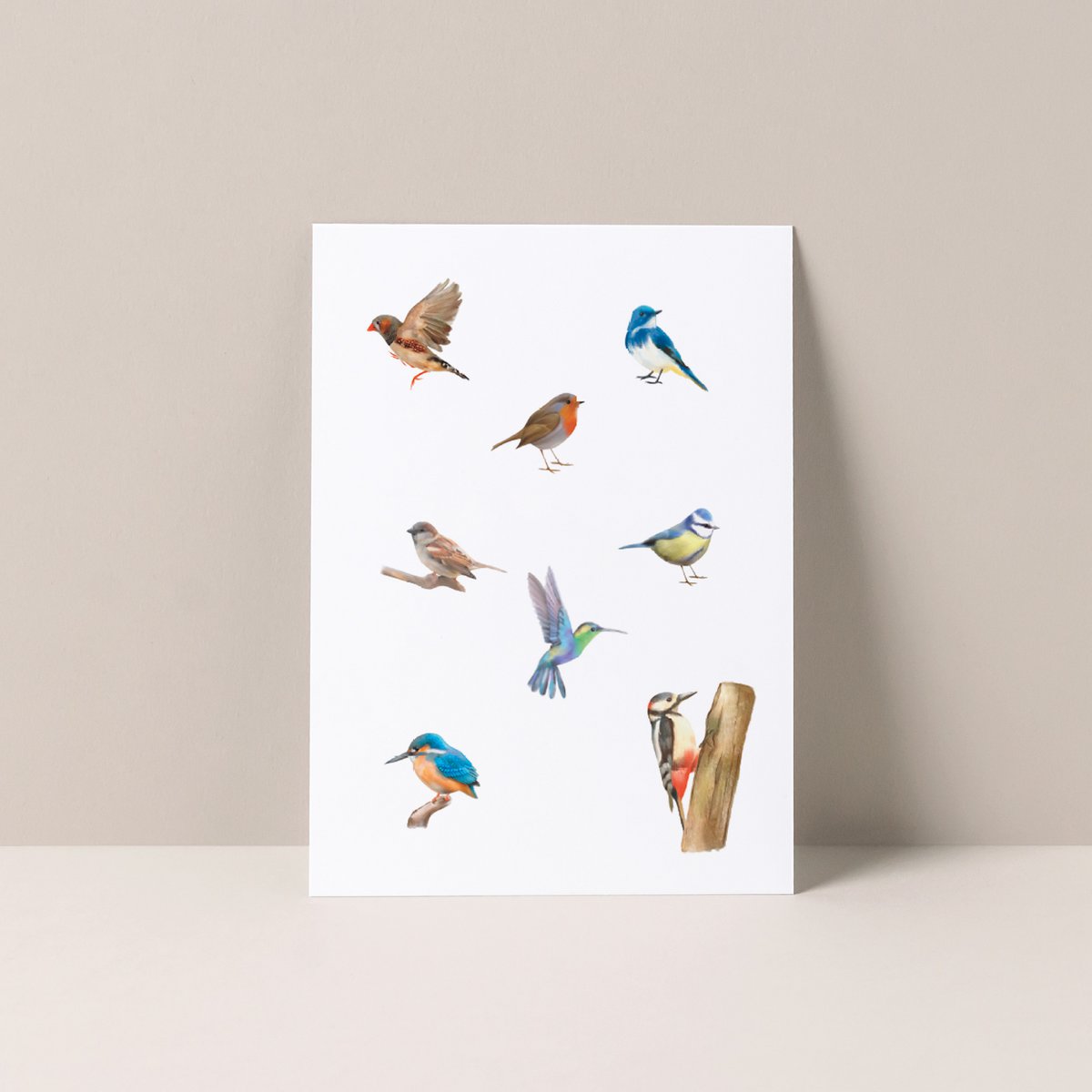 Postcard Birds