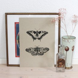  This art print features two detailed black and white moth illustrations on a beige background, framed in a wooden frame. The moths appear to have intricate wing patterns and designs, showcasing the natural beauty of these insects.