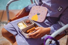 RVS Lunchbox Teckel