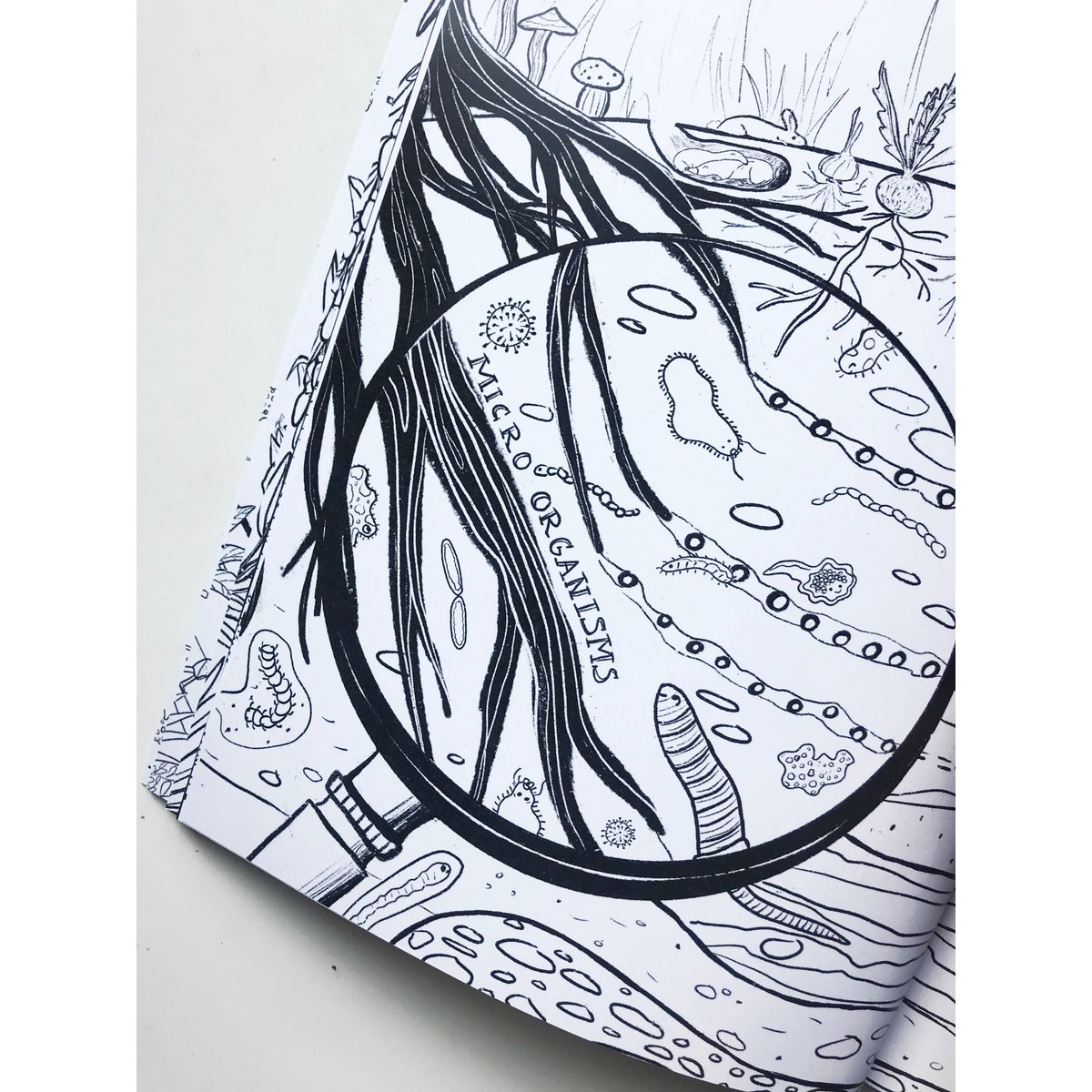 Organic Agriculture Coloring Book