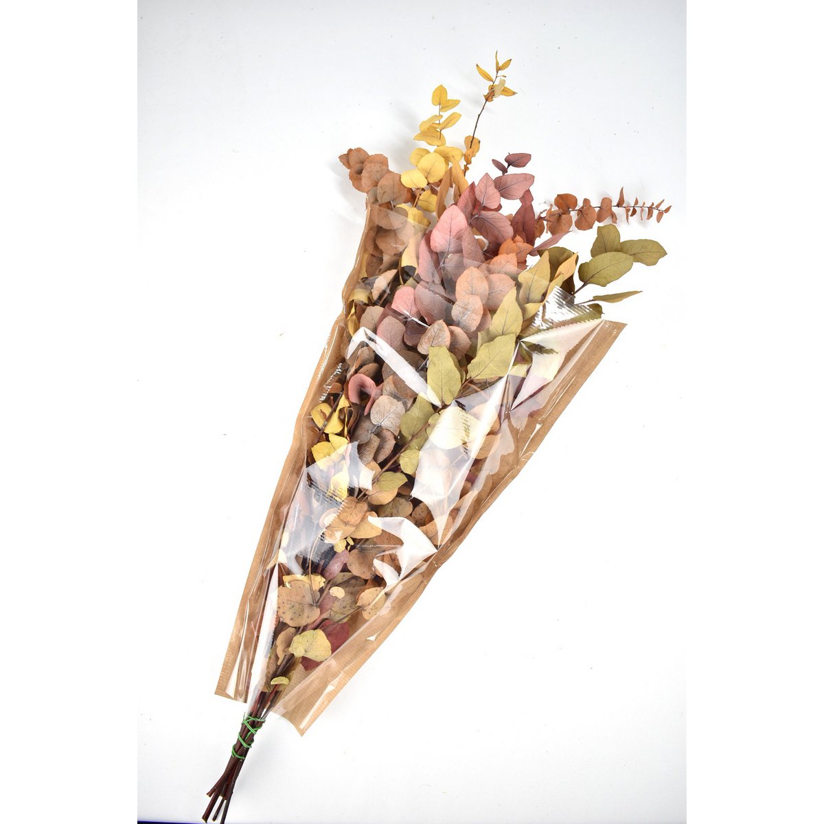 Eucalyptus - Mélange d'automne - fleurs séchées