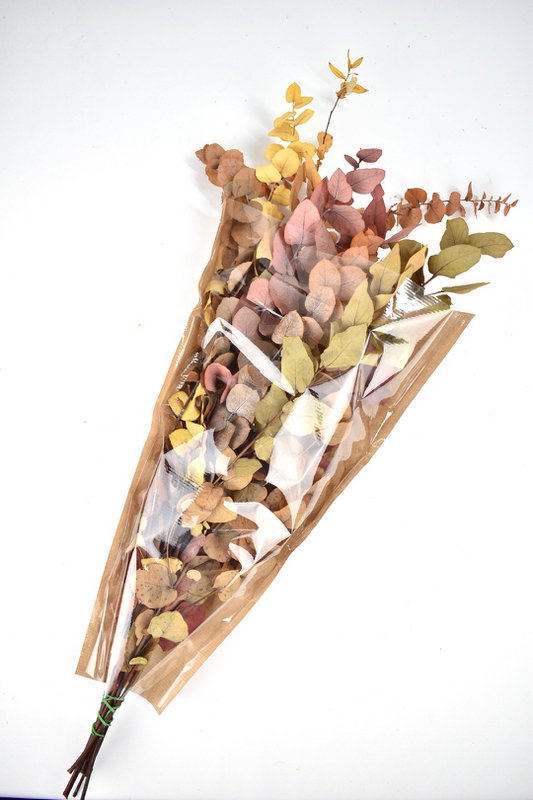 Eucalyptus - Autumn Mix - dried flowers