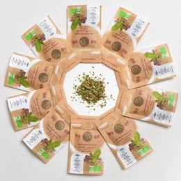 Mate infusions in discovery size 10g, with 11 different flavor varieties including cinnamon ginger cardamom, apple salted caramel, strawberry raspberry blueberry, mango apple orange, peppermint, papaya pineapple marigold, hibiscus lemongrass, pure mate, lemon ginger, lavender mauve rose, and detox.