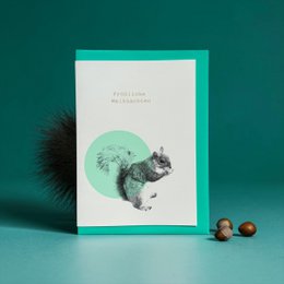 Eichhörnchen Bubble türkis