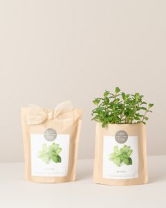 Grow Bag Peppermint