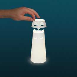 Set Uccelli: luci a lanterna