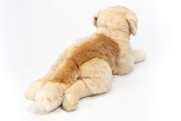 Golden Retriever lying 60 cm - plush toy - stuffed animal